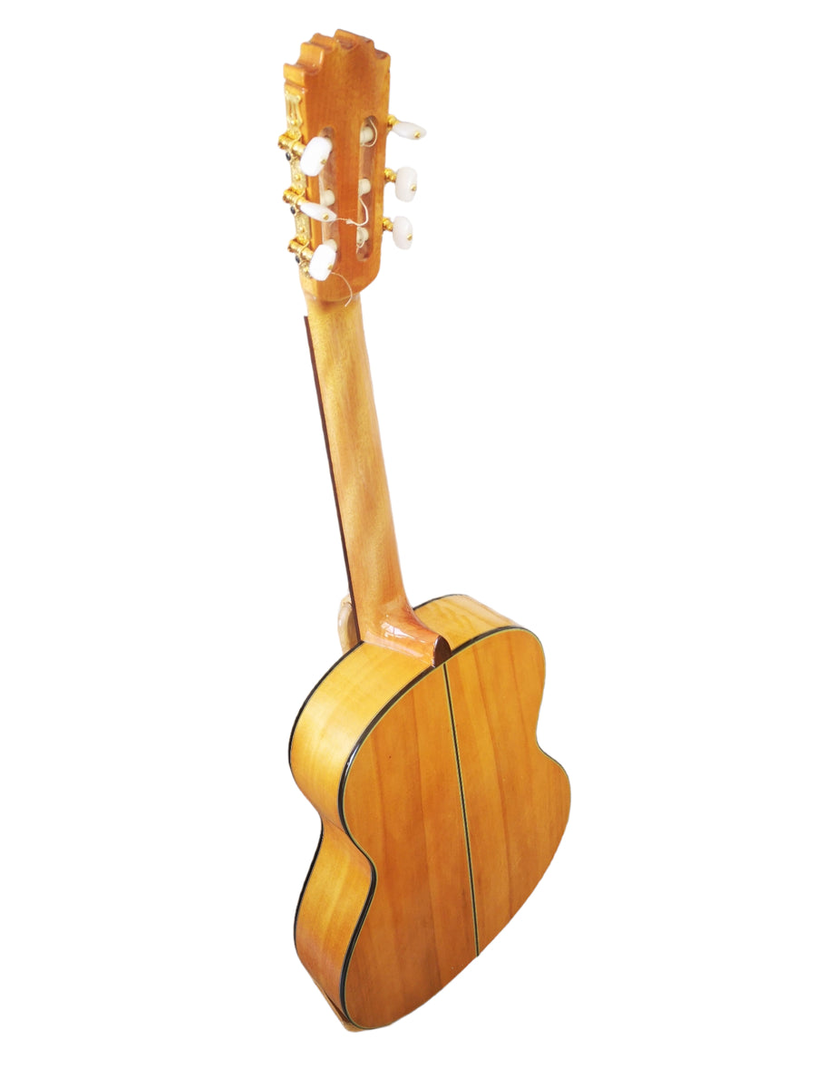 Funda Guitarra Clasica 15mm Acolchada en colores CIBELES C100.015CC – Para  Músicos